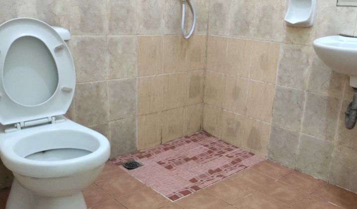 Kost Greenleaf Deltamas Lux Lnt 2